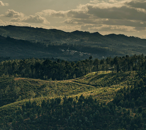  deep green mountain